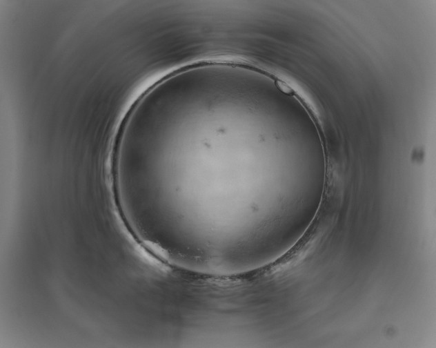 X0000094800959200711161455