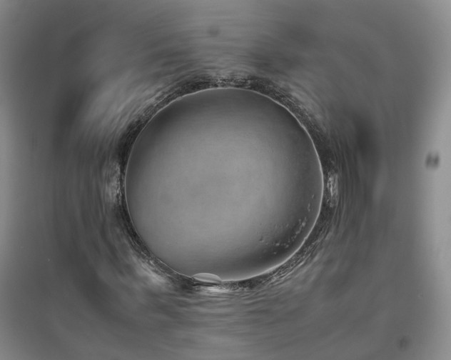 X0000094800963200711161454