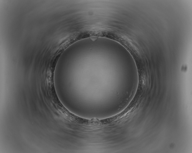 X0000094800964200711161454