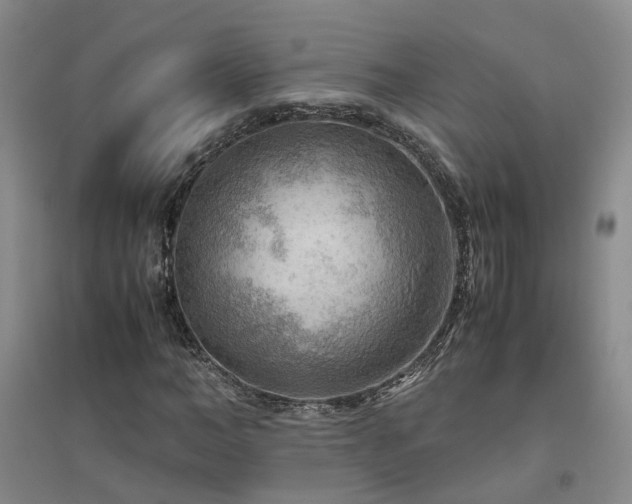 X0000094800966200711161454