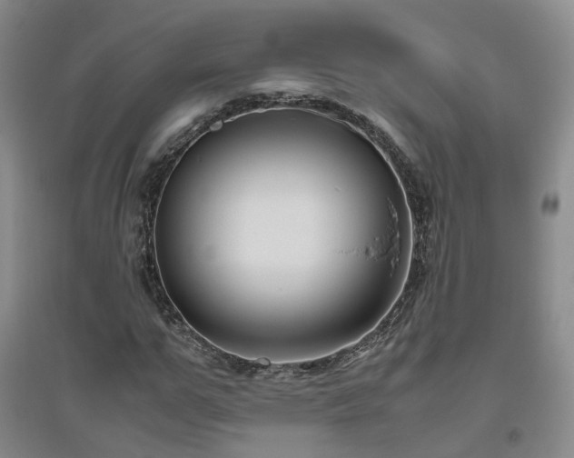 X0000094800967200711161454