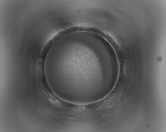 X0000094800968200711161454