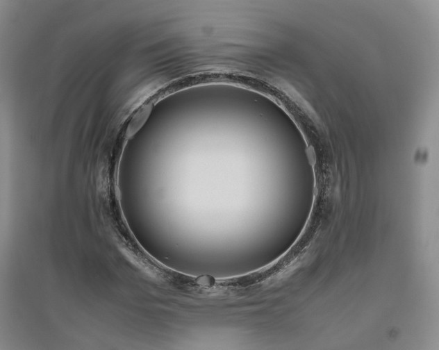 X0000094800969200711161454