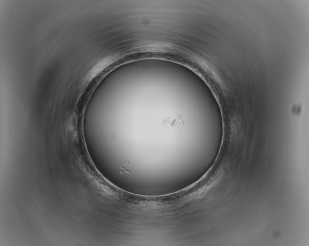 X0000094800970200711161454