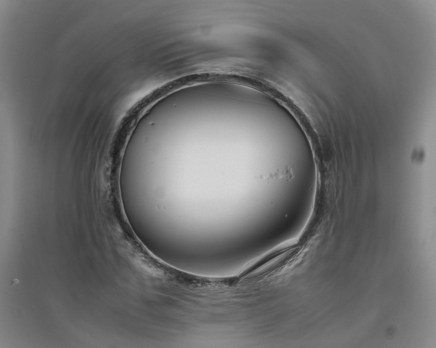 X0000094800971200711161454
