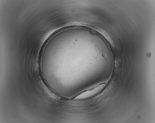 X0000094800972200711161454