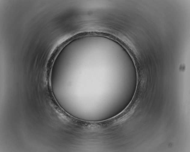 X0000094800974200711161454