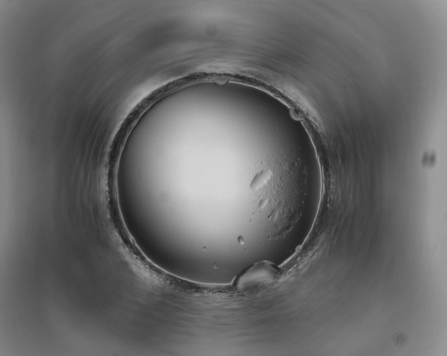 X0000094800976200711161454