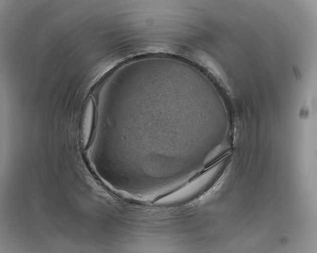 X0000094800977200711161454