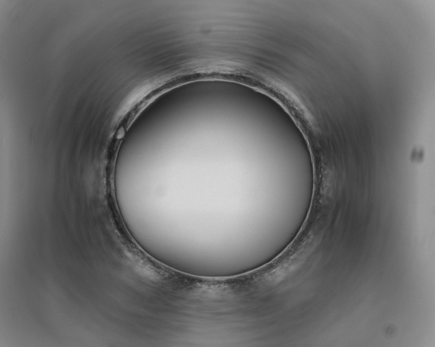 X0000094800978200711161454