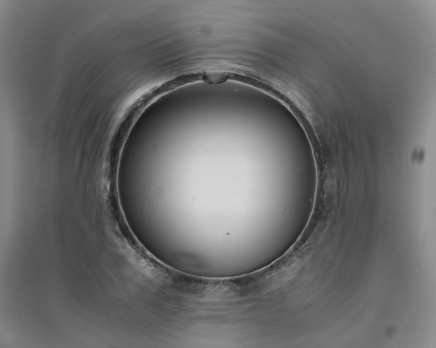 X0000094800979200711161454