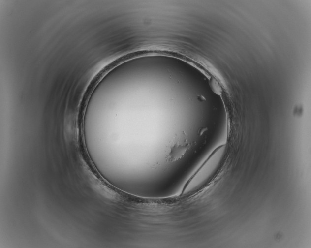 X0000094800980200711161454