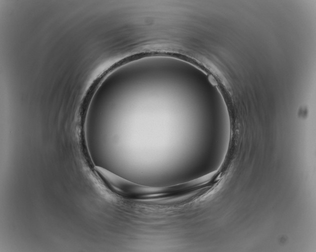 X0000094800981200711161454