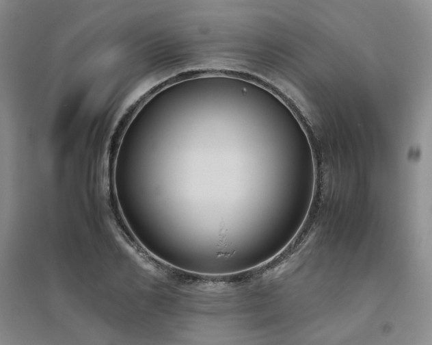 X0000094800982200711161454