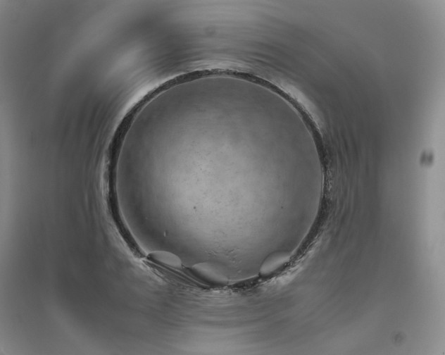 X0000094800983200711161454