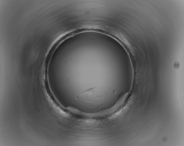 X0000094800984200711161454