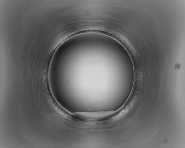 X0000094800985200711161454