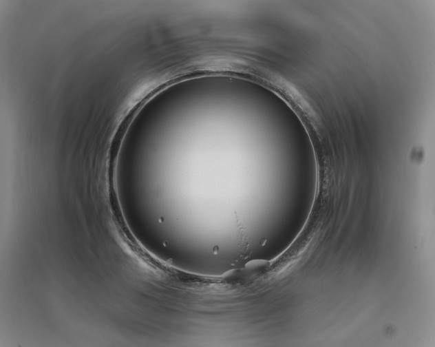 X0000094800986200711161454