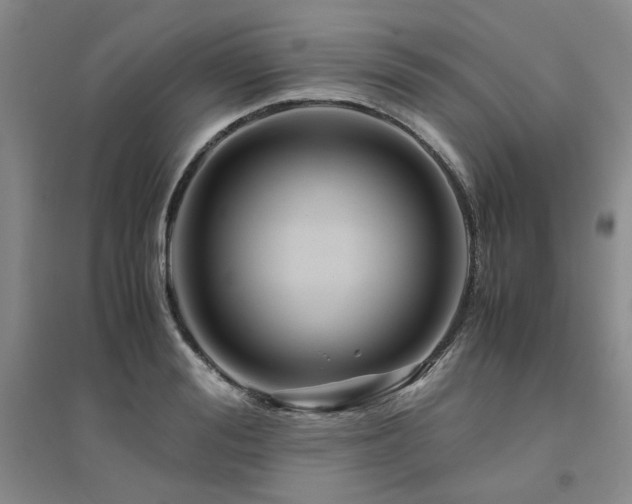 X0000094800988200711161454