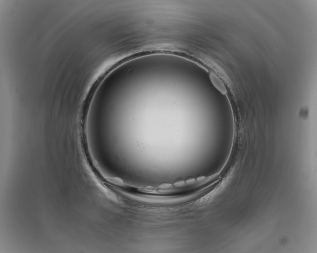 X0000094800989200711161454