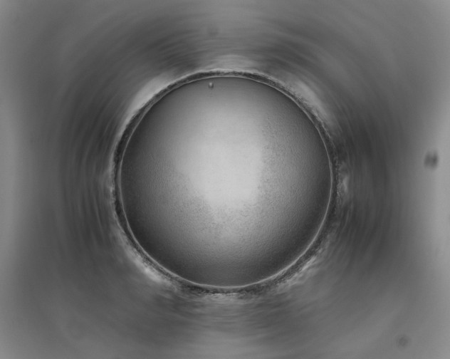 X0000094800990200711161454