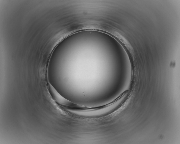 X0000094800993200711161454