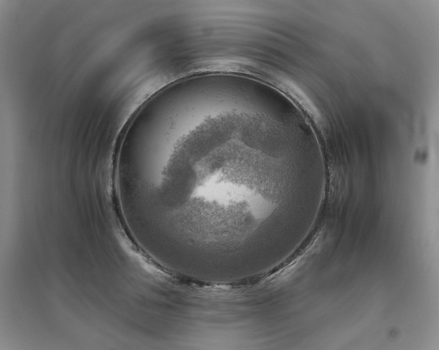 X0000094800994200711161454