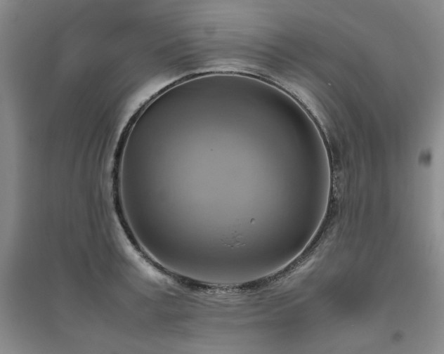 X0000094800995200711161454