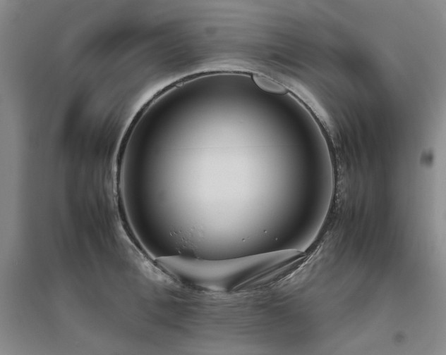 X0000094800996200711161454
