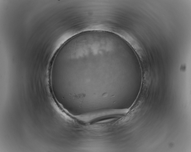 X0000094800998200711161454