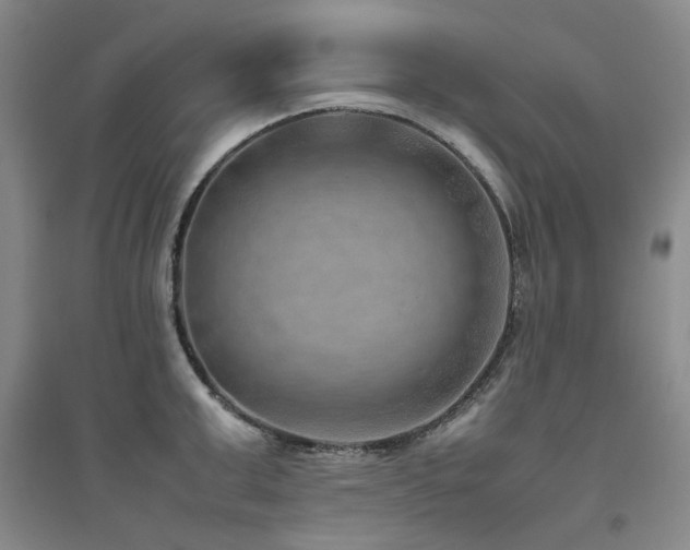 X0000094800999200711161454