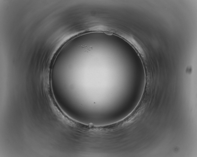 X0000094801000200711161453