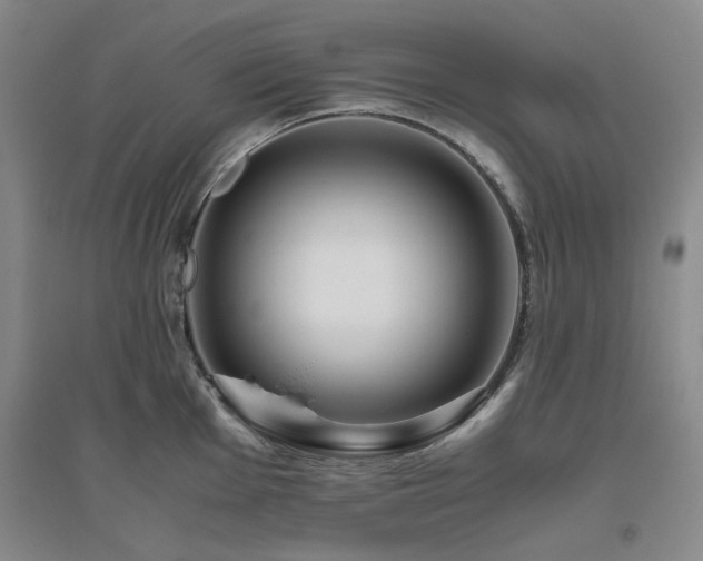 X0000094801001200711161453