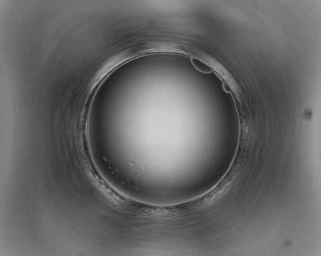 X0000094801002200711161453