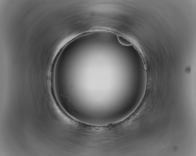 X0000094801003200711161453