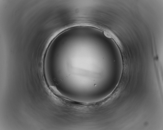 X0000094801004200711161453