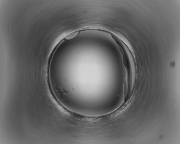 X0000094801005200711161453