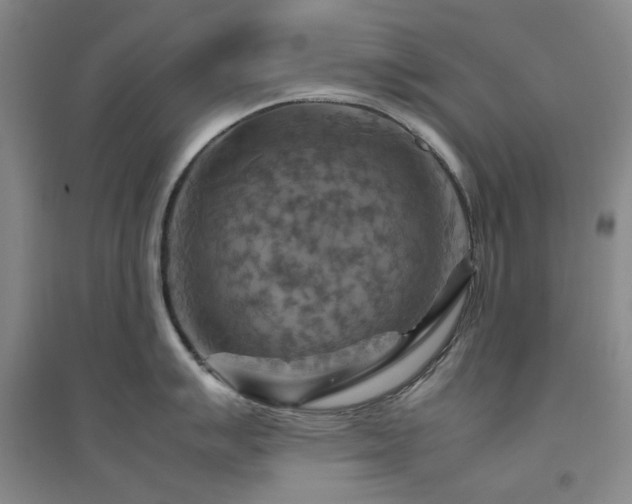 X0000094801007200711161453