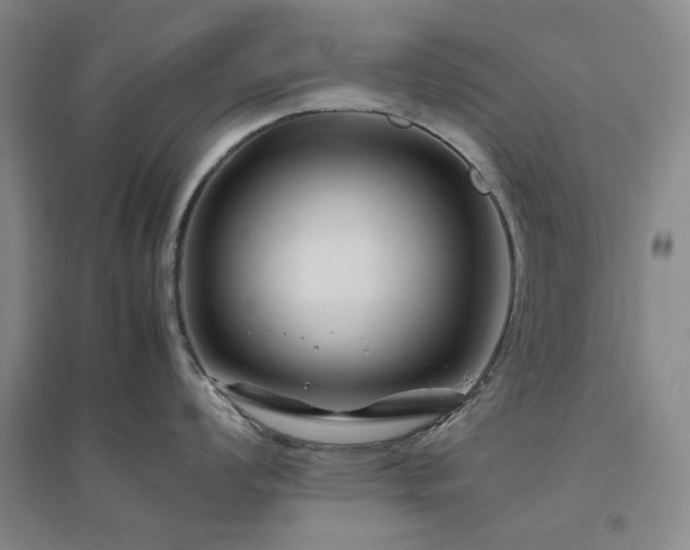 X0000094801008200711161453