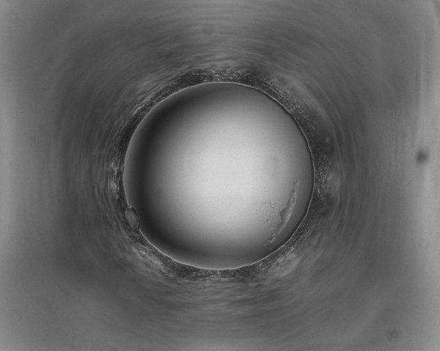 X0000094801010200711161452