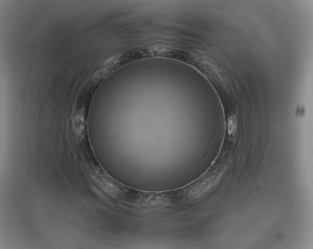 X0000094801011200711161452
