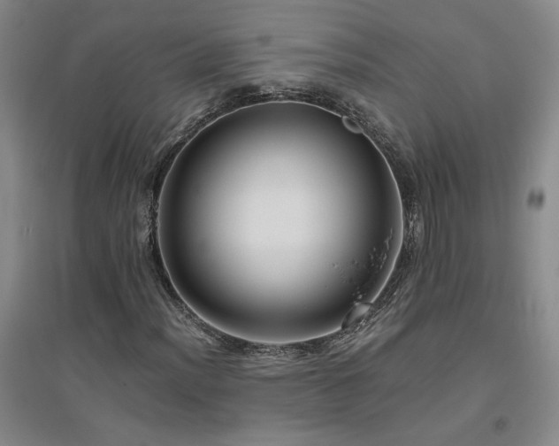 X0000094801012200711161452