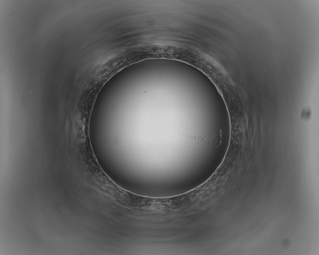 X0000094801013200711161453
