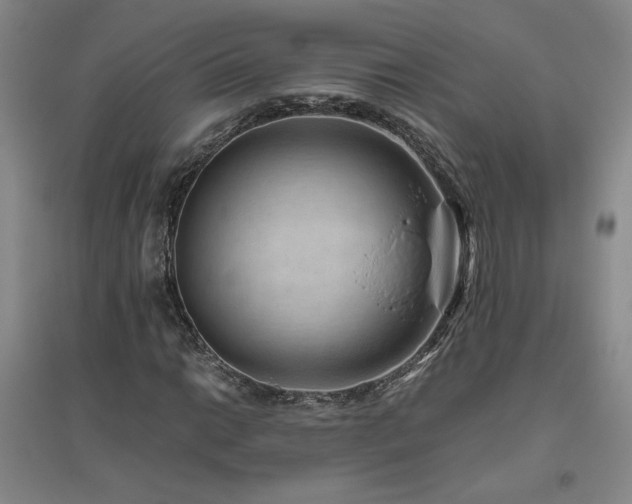 X0000094801014200711161453