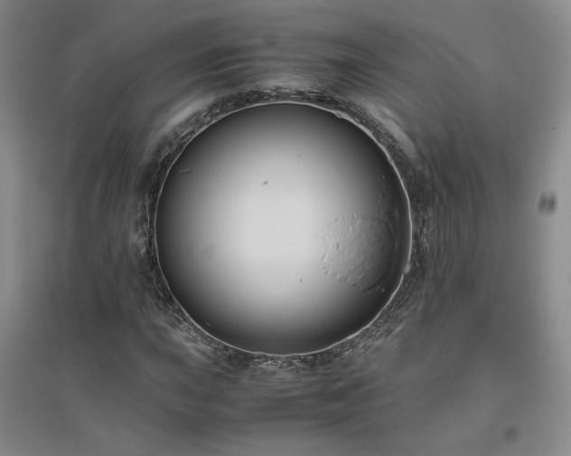 X0000094801015200711161453