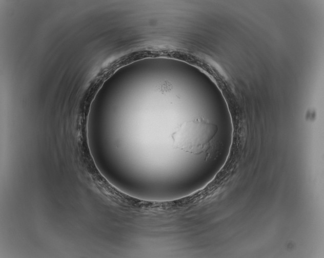 X0000094801016200711161453