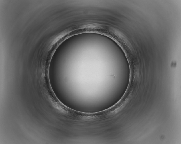 X0000094801017200711161453