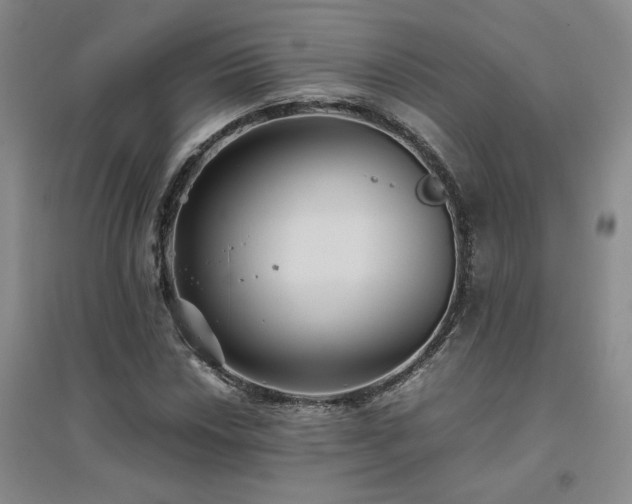 X0000094801018200711161453