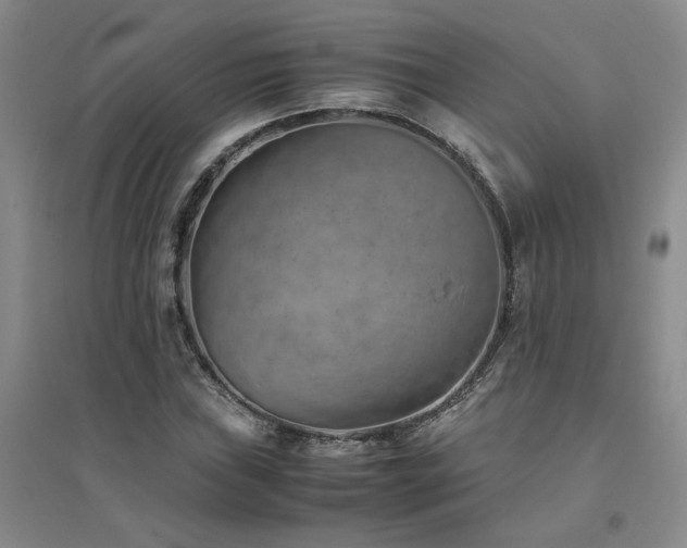 X0000094801019200711161453