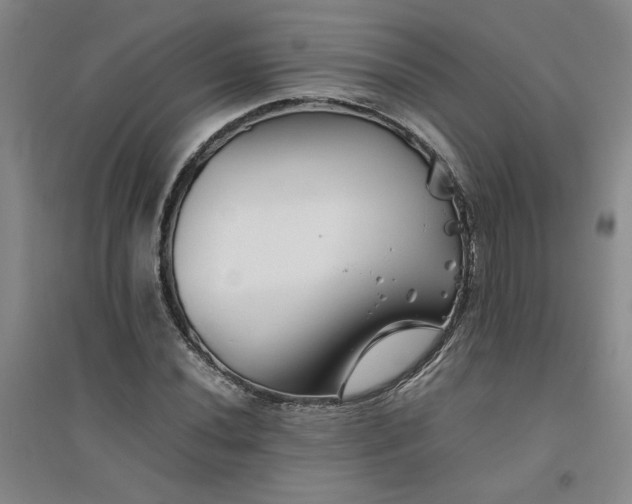 X0000094801020200711161453